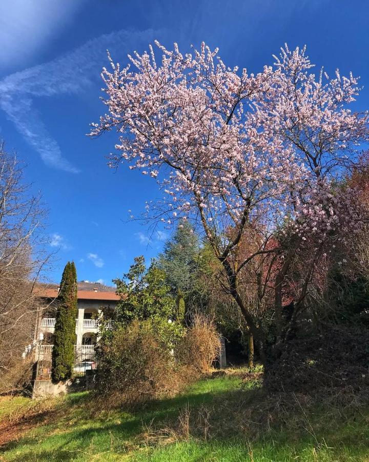 BorgialloAntica Dimora Del Portico住宿加早餐旅馆 外观 照片
